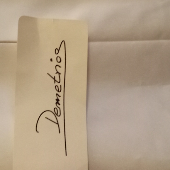 Demetrios Wedding Gown - Picture 8 of 8